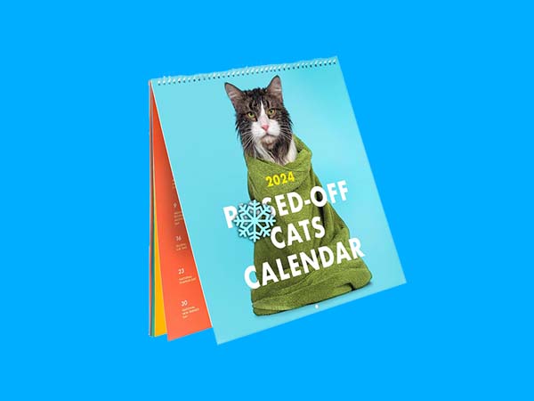 Discover 10 Funny Wall Calendars of 2024 for a Laugh-Filled Year