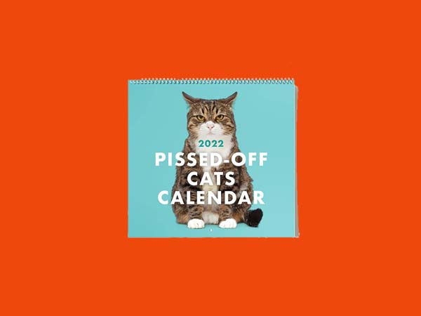 10 Best Funny Wall Calendars of 2022